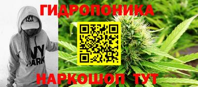 гашик Шебекино