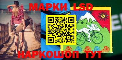 гашик Шебекино